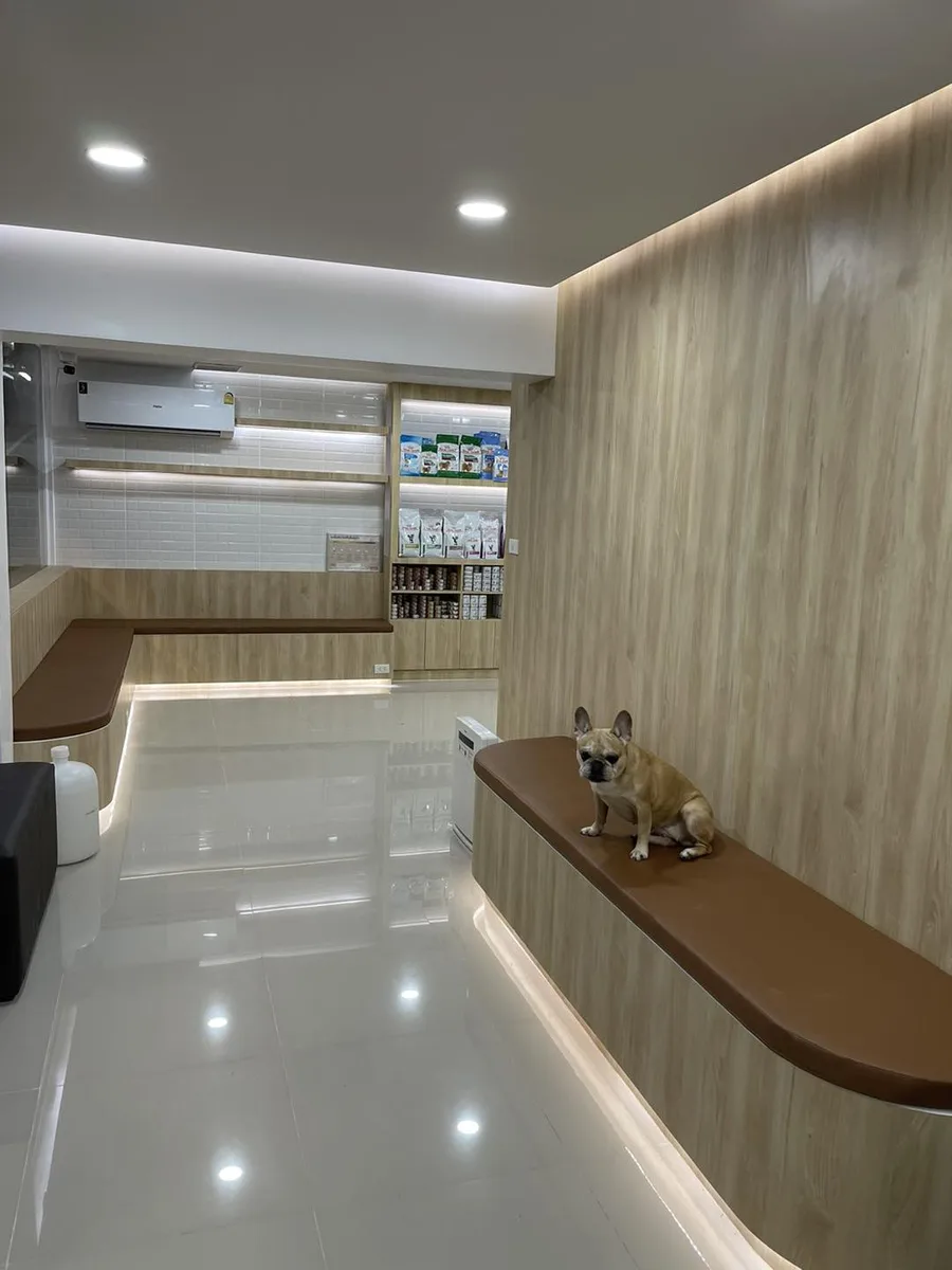 ตี่จู้หินอ่อน Modern Luxury ถ่ายโดย BrandAge